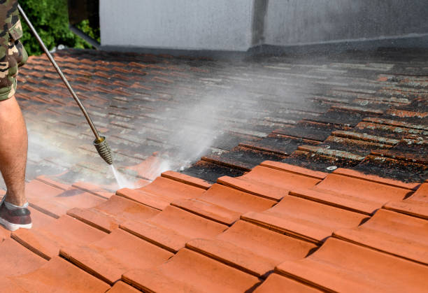 Best Concrete Pressure Washing  in Avalon, NJ