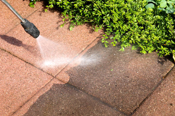 Best Roof Power Washing Services  in Avalon, NJ